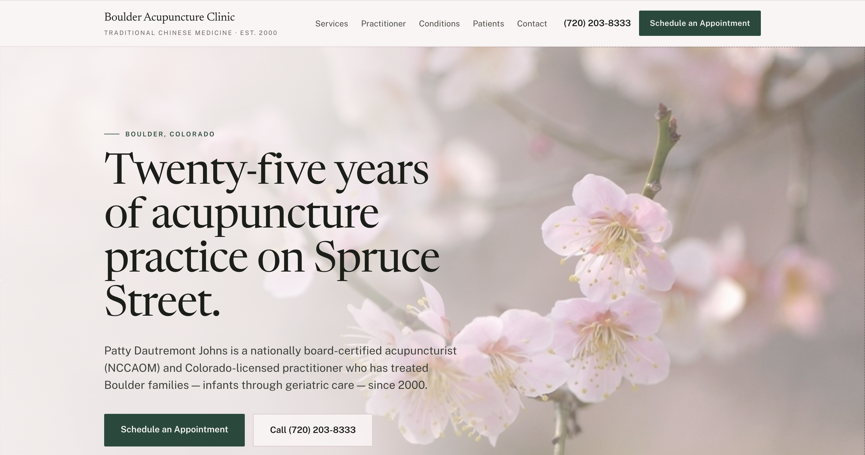 Acupuncture Clinic redesign concept